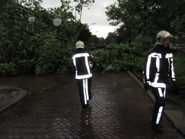 Scaled image img_0096.jpg 