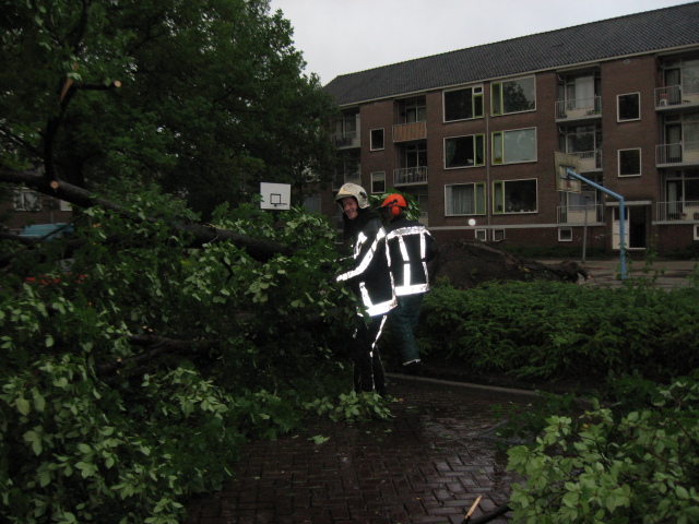 Scaled image img_0098.jpg 