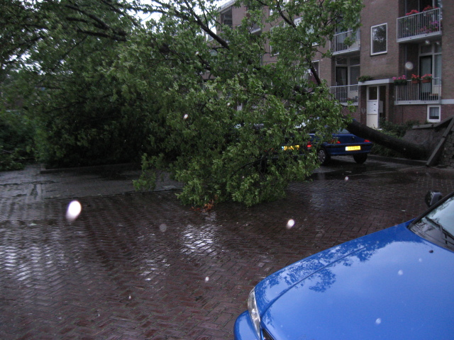 Scaled image img_0104.jpg 