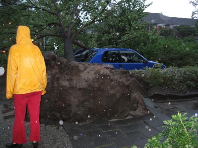 Scaled image img_0105.jpg 