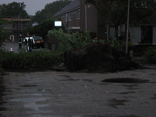 Scaled image img_0106.jpg 