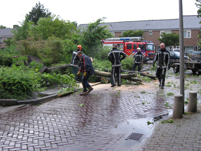 Scaled image img_0109.jpg 