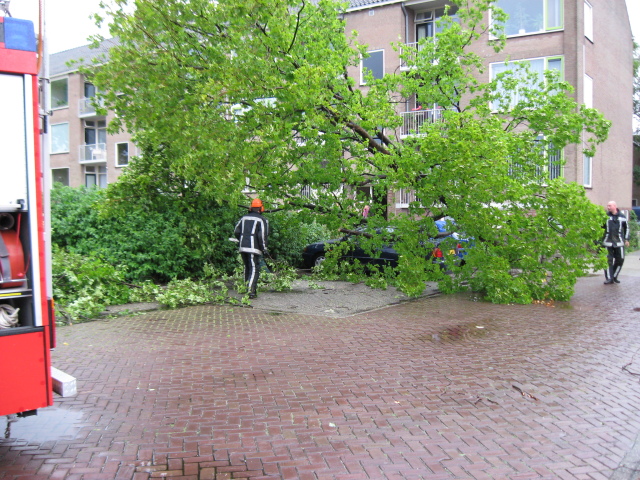 Scaled image img_0112.jpg 