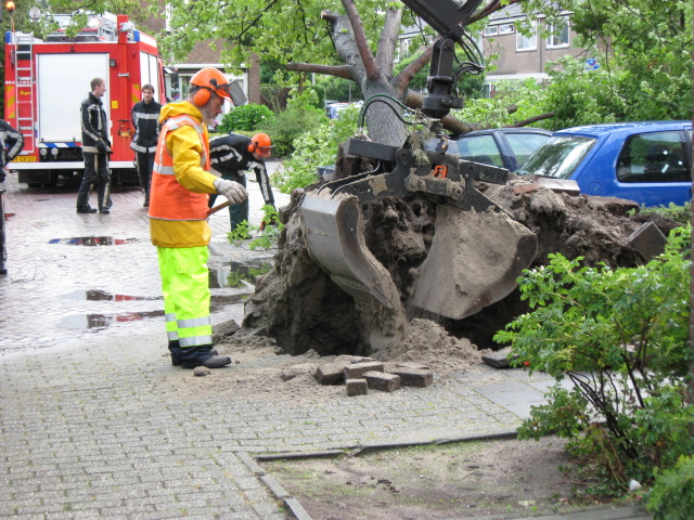 Scaled image img_0119.jpg 