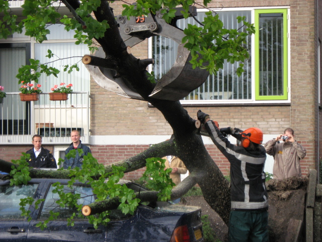 Scaled image img_0122.jpg 