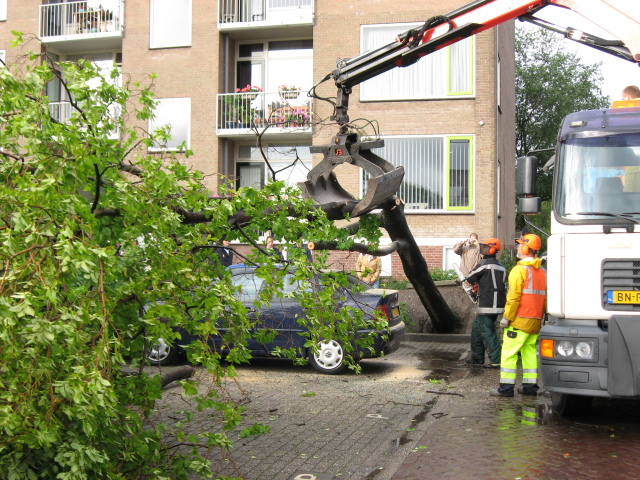 Scaled image img_0124.jpg 