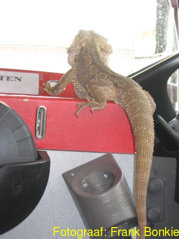 Scaled image IMG_0760.jpg 