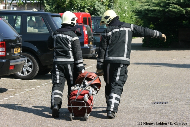 Scaled image 27-06-10WMD13.jpg 