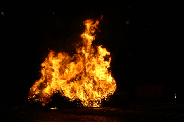 Scaled image PICT3181.JPG 