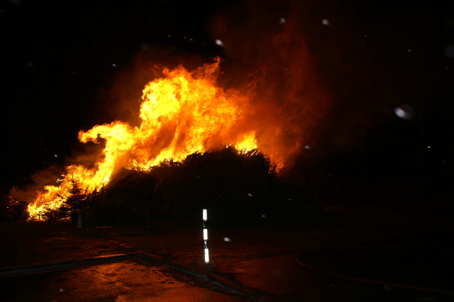 Scaled image PICT3186.JPG 