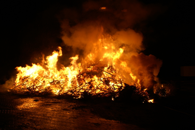 Scaled image PICT3187.JPG 