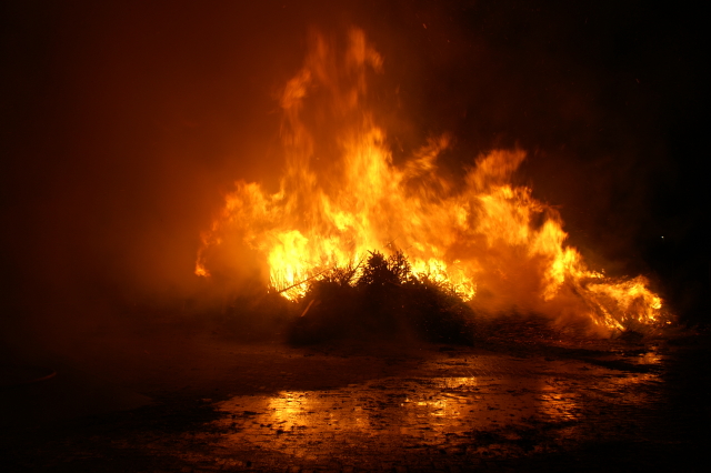 Scaled image PICT3189.JPG 