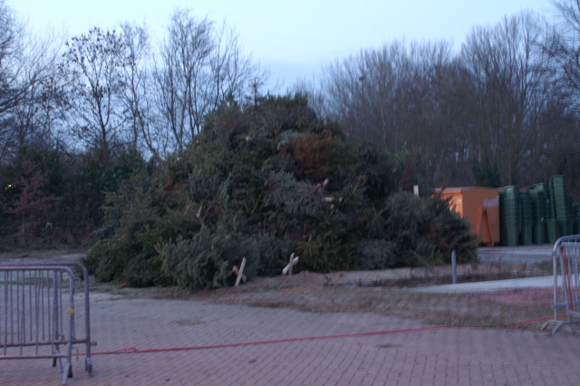 Scaled image PICT3937.JPG 