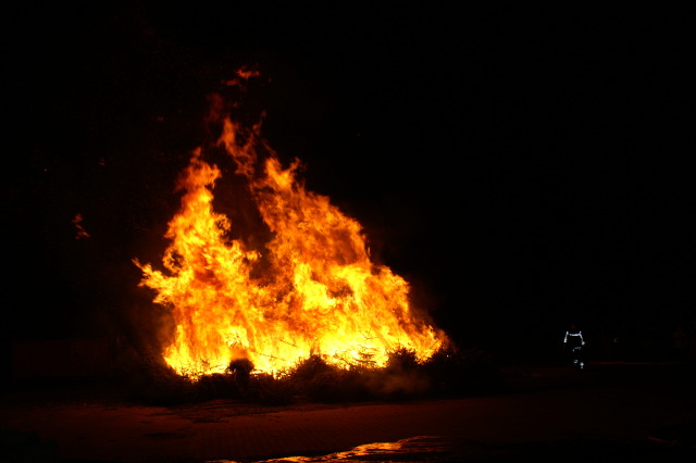 Scaled image PICT3984.JPG 