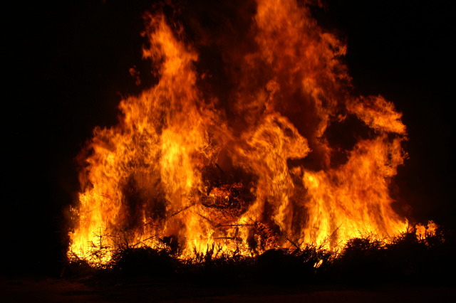 Scaled image PICT3988.JPG 