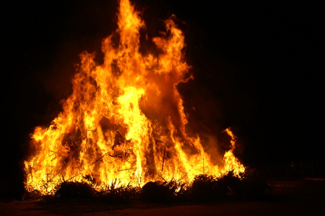 Scaled image PICT3989.JPG 