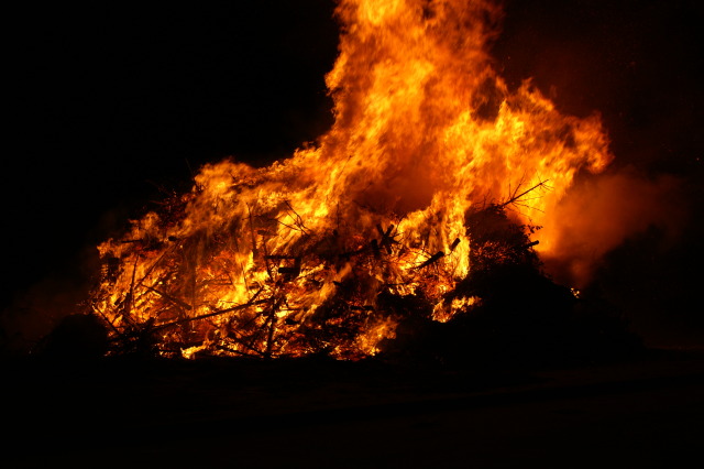 Scaled image PICT4000.JPG 