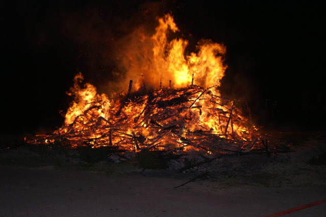 Scaled image PICT4006.JPG 