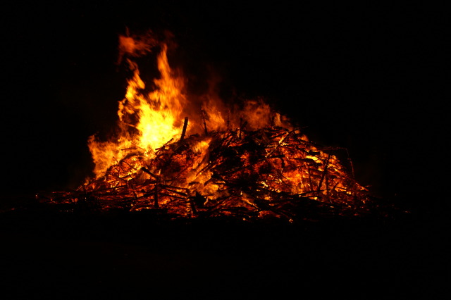 Scaled image PICT4007.JPG 