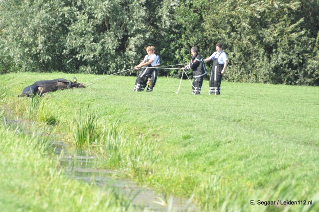 Scaled image DSC_0029.jpg 