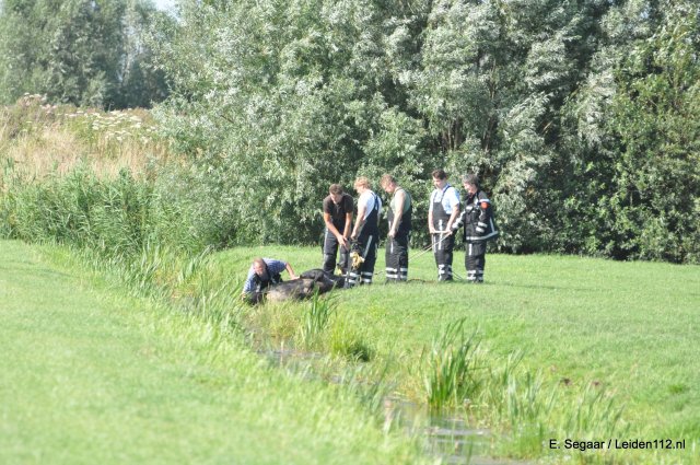 Scaled image DSC_0050.jpg 