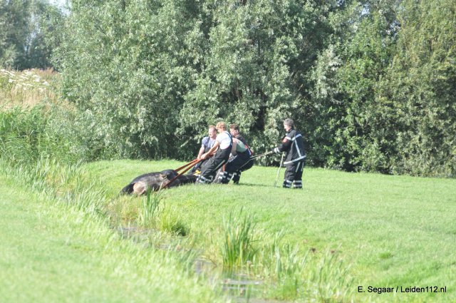 Scaled image DSC_0053.jpg 