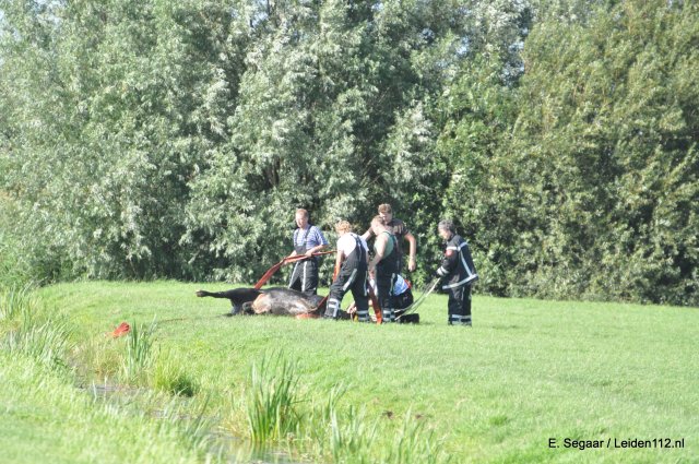 Scaled image DSC_0060.jpg 