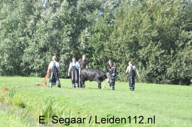 Scaled image DSC_0065.jpg 