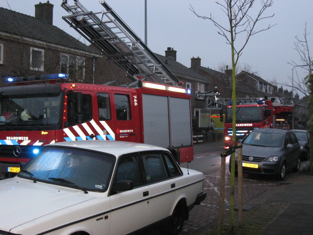 Scaled image IMG_0335.jpg 