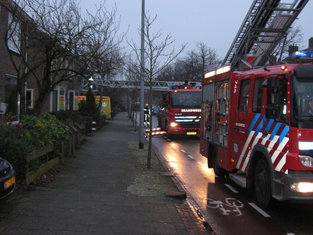 Scaled image IMG_0336.jpg 