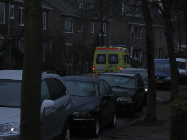 Scaled image IMG_0350.jpg 